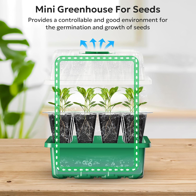 10 個の苗トレイ種子スターターキットミニプロパゲーター植物 - Dome Propagation Kit のレビューと価格