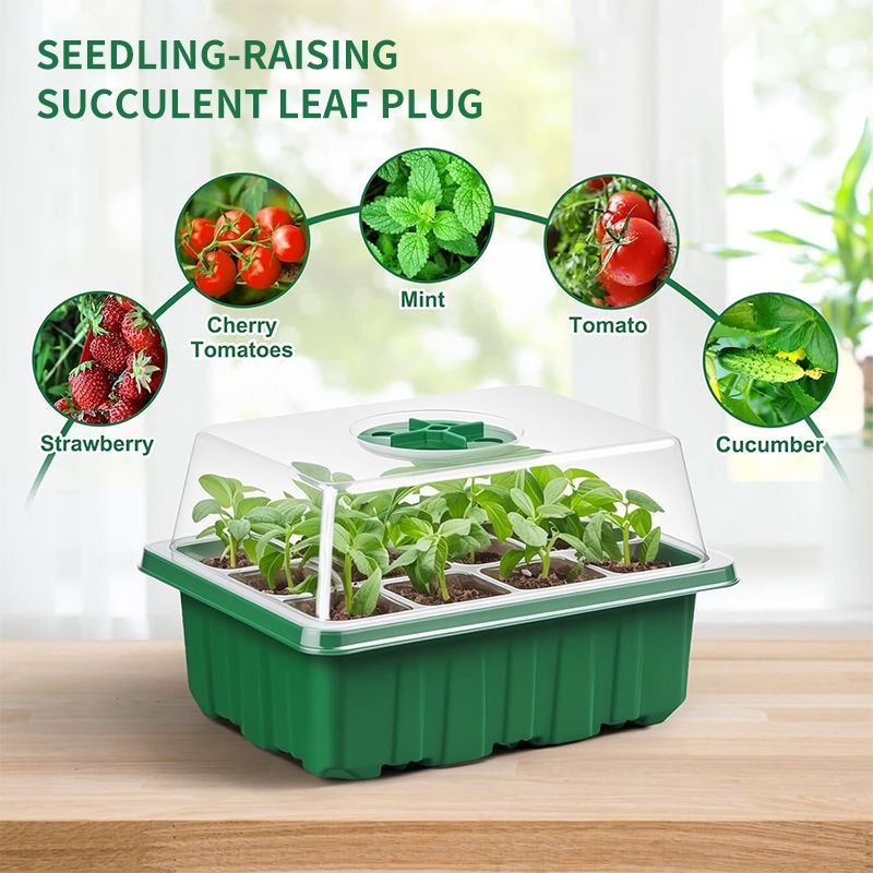 種子発芽キット ミニ温室発芽トレイ 湿度ドーム付き 植物苗育 - Dome Propagation Kit のレビューと価格