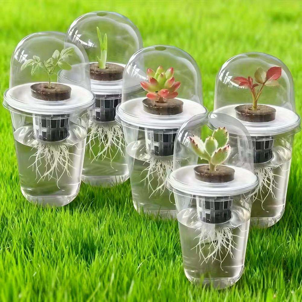 水耕栽培Sスターターカップ植物繁殖ステーションキット、多肉植 - Dome Propagation Kit のレビューと価格