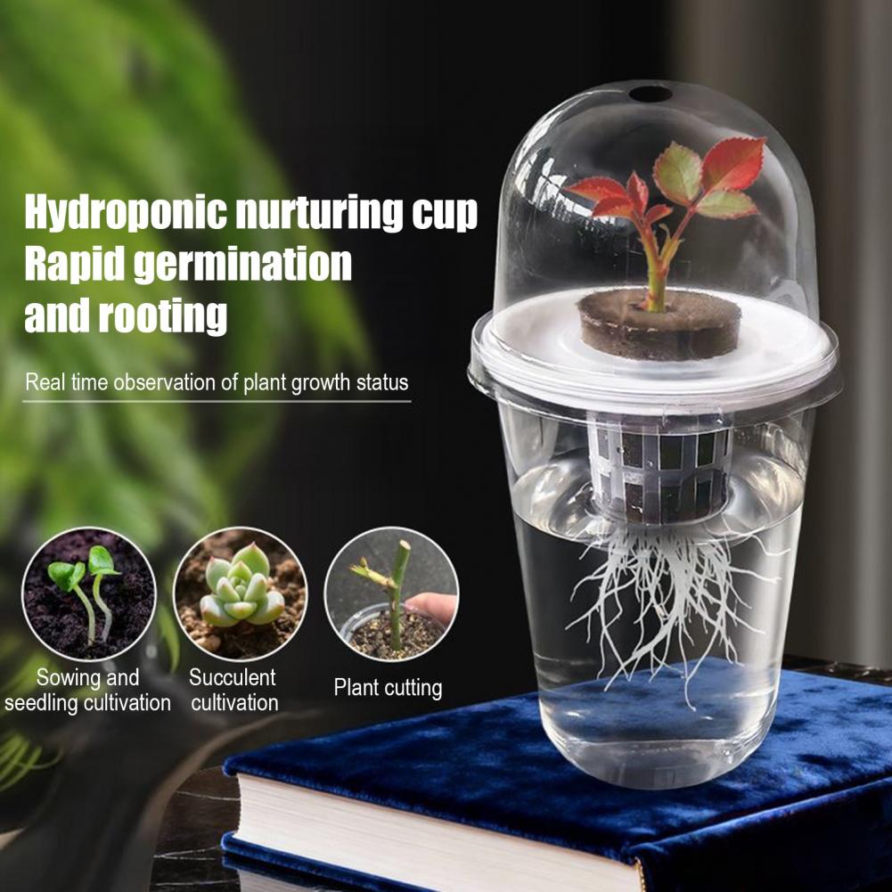 水耕栽培Sスターターカップ植物繁殖ステーションキット、多肉植 - Dome Propagation Kit のレビューと価格
