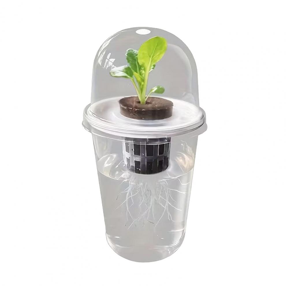 水耕栽培Sスターターカップ植物繁殖ステーションキット、多肉植 - Dome Propagation Kit のレビューと価格